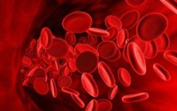 Особенности диеты при повышенном гемоглобине в крови — что можно и чего нельзя?