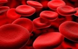 Какие продукты питания помогают восстанавливать кровь после её потери — Топ 9
