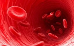 10 методов, как почистить кровь в домашних условиях с помощью народных средств и продуктов питания