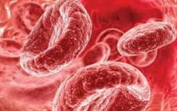 Какие продукты питания понижают гемоглобин в крови — список из 7 лучших