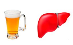 Как пиво влияет на печень человека — факты о вреде и возможной пользе