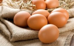 Как куриные и перепелиные яйца влияют на гемоглобин — повышают ли они его?