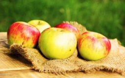 Как яблоки влияют на печень — 5 фактов о пользе и возможный вред