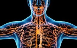 Как разогнать лимфу в организме и улучшить лимфоотток при застое — 7 методов