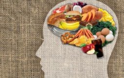 Правильное питание для мозга и улучшения работы нервной системы — 7 правил
