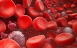 Есть ли связь между питанием человека и уровнем тромбоцитов в крови?