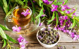7 полезных свойств иван-чая для человека и способы применения