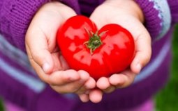 Подробный обзор: полезны ли помидоры для сердца, сосудов и крови и при каких болезнях их можно есть?