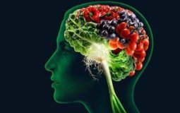 Какие продукты питания полезны для укрепления сосудов головного мозга и шеи — Топ 7 лучших