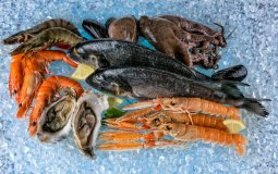 Какие морепродукты самые полезные по мнению учёных – Топ-8