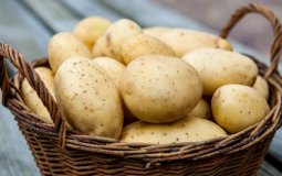 7 полезных свойств картофеля для организма с опорой на науку