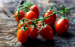 Польза и вред для печени томатного сока и помидоров — 8 фактов
